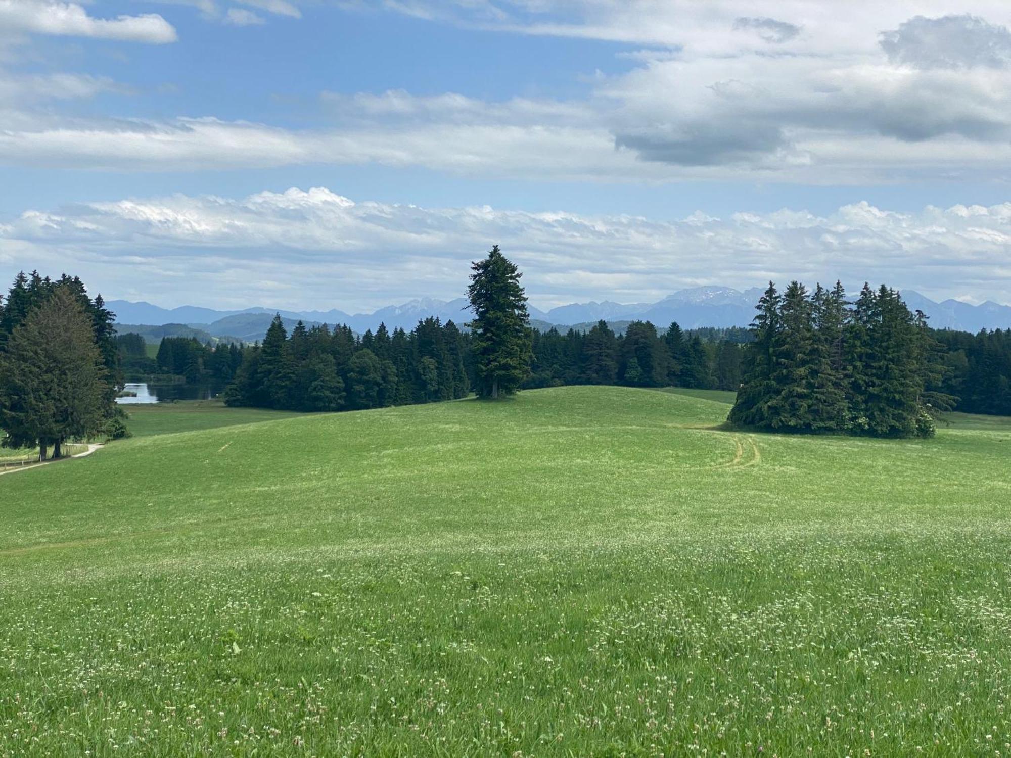 "Allgaeu-Herzl" Alpenchalet Fuer Zwei Ruckholz Bagian luar foto